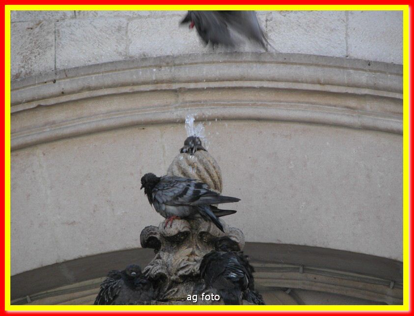 sciacca 312_tn.jpg